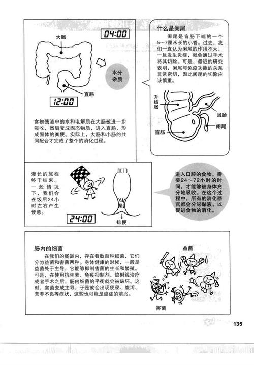 全图解人体说明书【下】