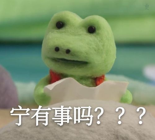 看过来,看过来,棉花小兔里面可爱青蛙kerry