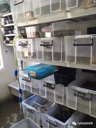 新的场地,新的模式——排缸系统