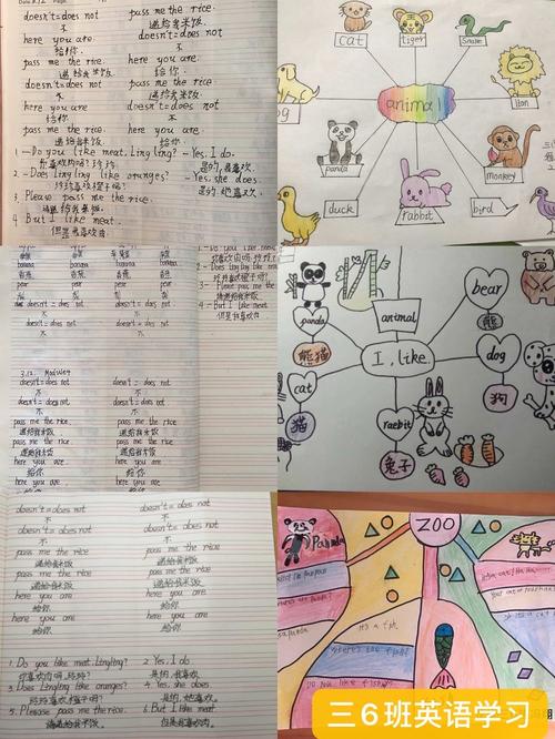 自然拼读思维导图