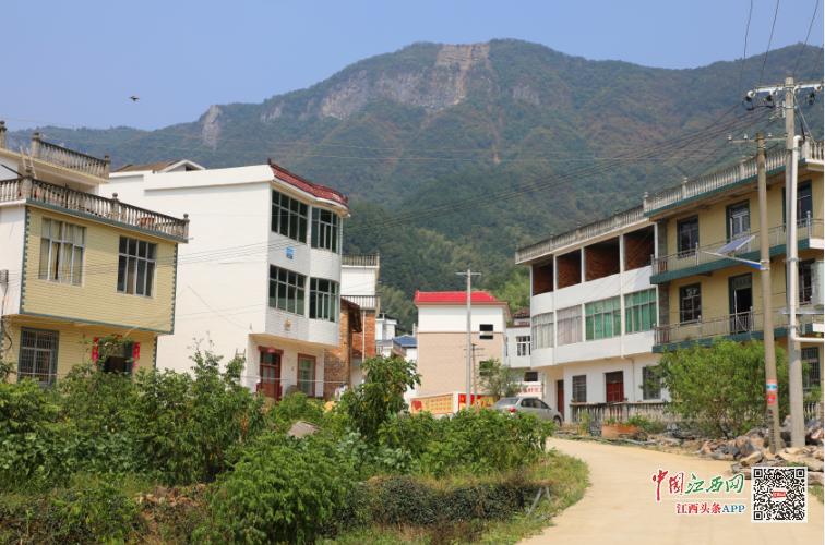 省内主流媒体聚焦瑞昌市花园乡新村建设(图)