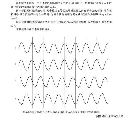 脑电图基础知识科普最全图文并茂