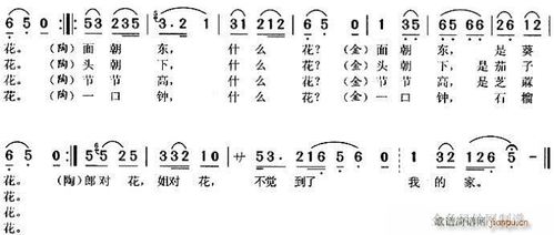 对花黄梅戏