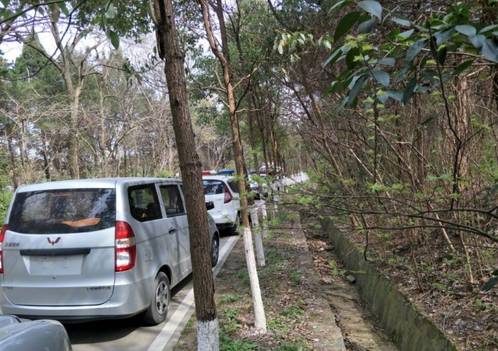惊悚!合肥大蜀山北麓树丛发现一具高度腐烂女尸,太吓人了!
