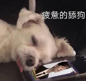 讯飞#啥也不想说,送个表情包给舔狗们