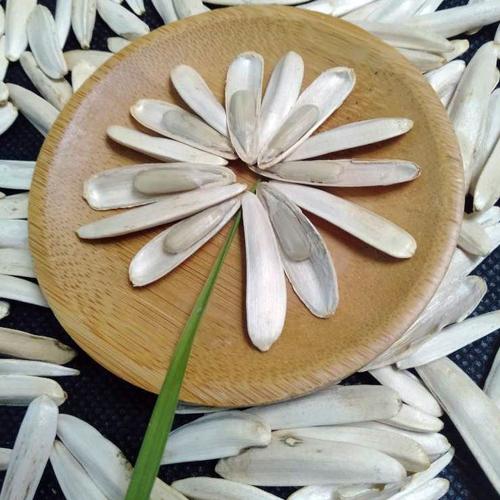 瓜子新疆马牙牙签葵花籽散装特级苏长马白皮瓜子