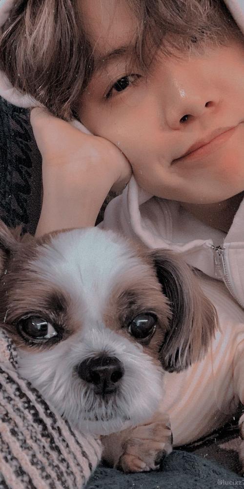 郑号锡 - 堆糖,美图壁纸兴趣社区