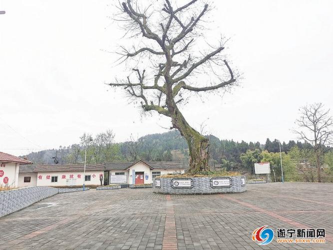蓬溪县荷叶乡青溪村抓基础强产业村民生活蒸蒸日上