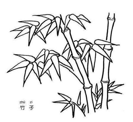 竹子怎么画