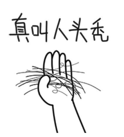 掉掉掉每天究竟掉多少头发才会秃