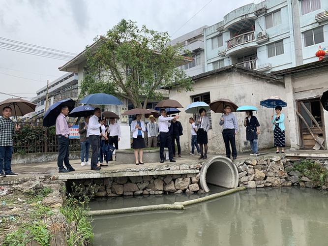 区委副书记钱素文赴丽岙街道督查黑臭水体整治工作