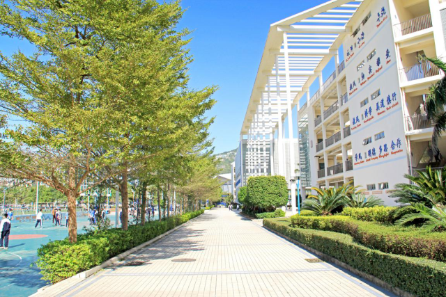 深圳盐田区2020年秋季初一学位申请温馨提示_外国语