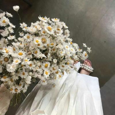 人拿花朵唯美头像图片