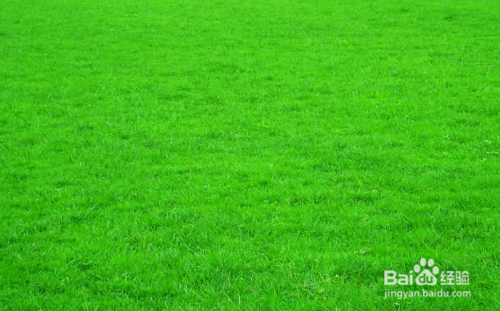 如何缓解眼疲劳保护视力.