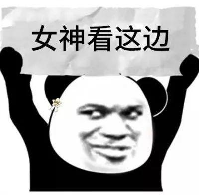 熊猫头举牌表情包