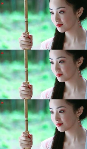 刘晓洁演过仙剑三的万玉枝和特种兵火凤凰.蔡文静演过阳光之下.