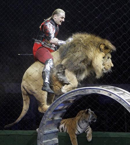 不仅如此,驯兽员还同狮子大秀"人狮之吻",引得在场观众阵阵惊呼.