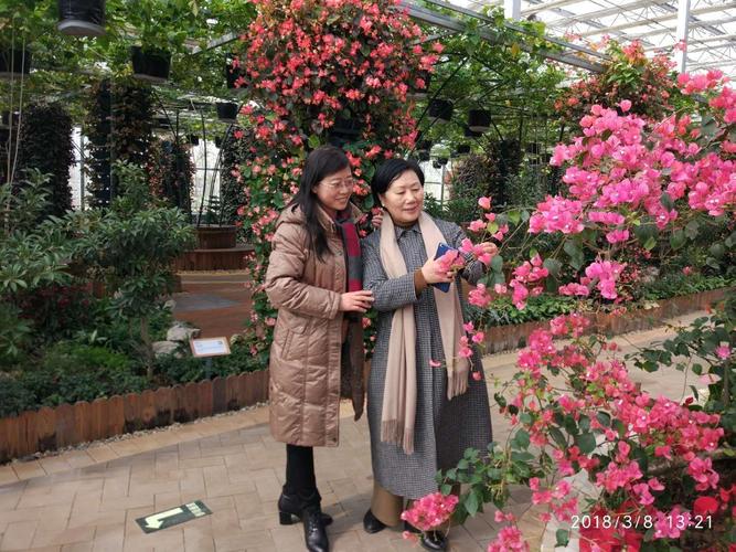 阜宁县七彩科技农业园(水晶花宫)