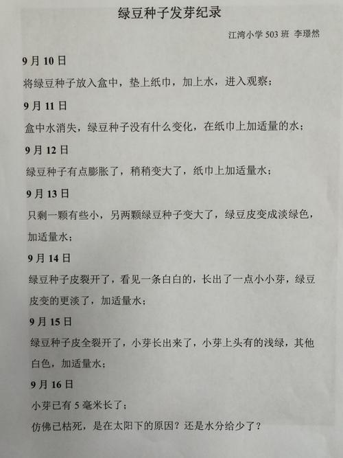 绿豆种子发芽观察记录