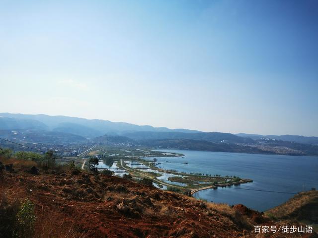 西岸新建的湿地公园