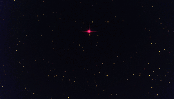 600_342gif 动态图 动图