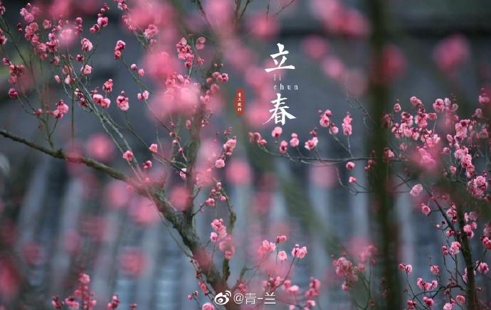 大年初四##二十四番花信风##二十四节气##今日立春##富阳加油##战疫