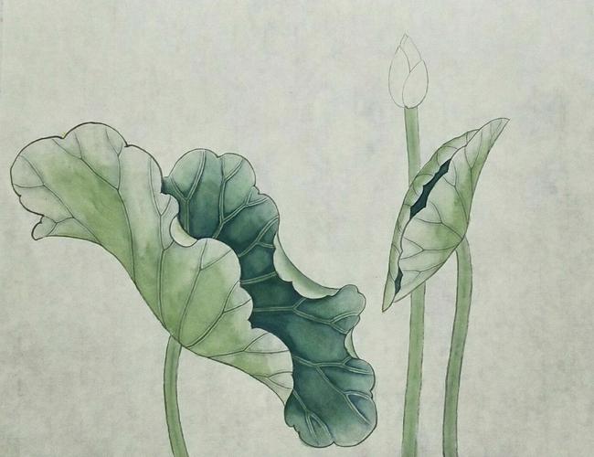 其它 刘松友画工笔荷花之二 写美篇 分染荷叶正面示范