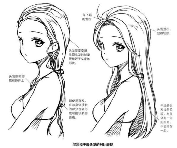 初学者小白怎么画动漫女生各式各样的头发有什么技巧嘛