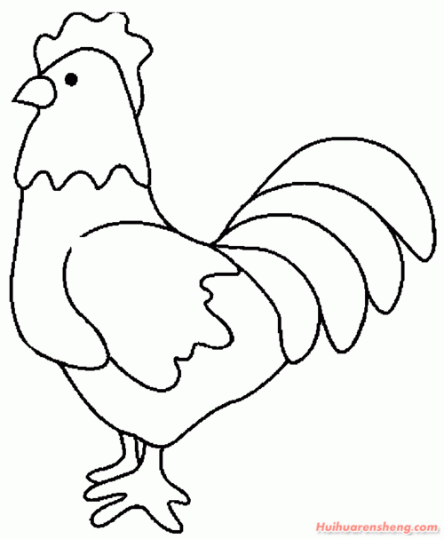 十二生肖鸡简笔画图片 小鸡简笔画法大全(5)