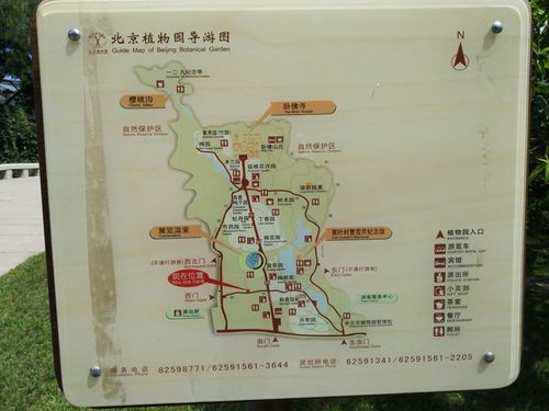 植物园导游图