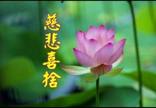 出道仙之 "布施"