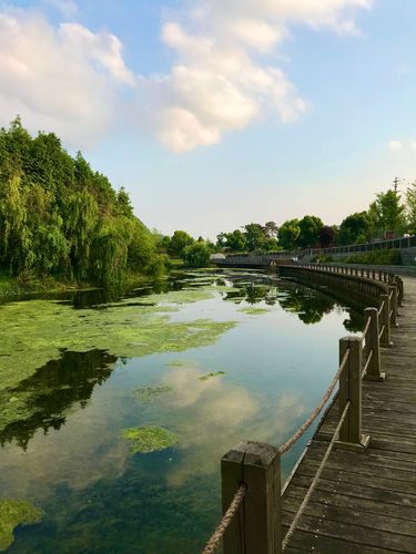落晖洒满沙溪河
