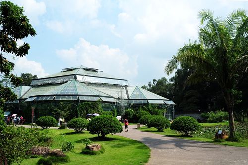 华南植物园景色 (共p)