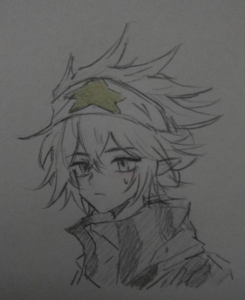 雷狮- 半次元 - acg爱好者社区