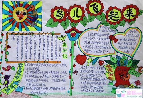 一年级爱鸟周手抄报 六年级爱国手抄报
