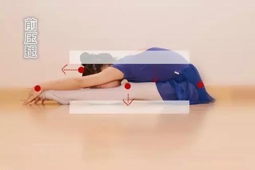 舞蹈知识课堂第3课:前压腿这个舞者都会做的动作,你做