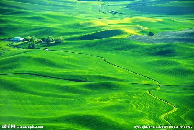 绿色田野