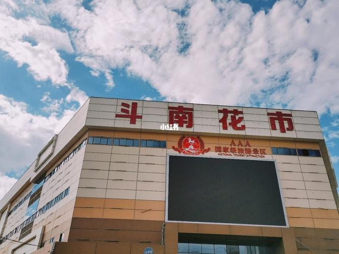【昆明斗南花市】我和鲜花有个约会_花市_鲜花_约会_多肉植物_斗南花