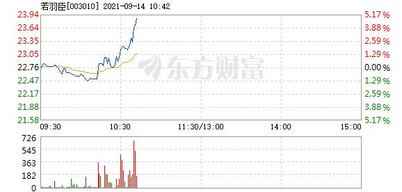 若羽臣9月14日快速上涨