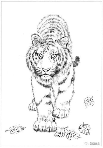 线描百虎画谱选页欣赏