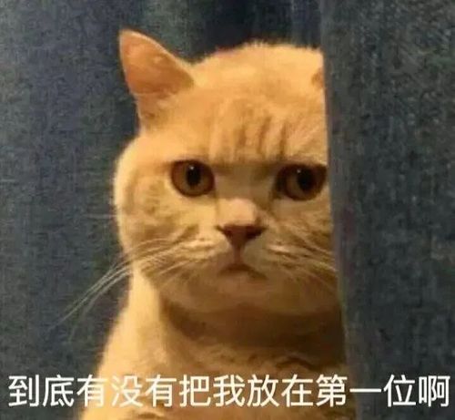 可爱表情包|睡前想我