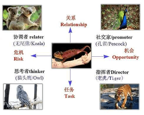 2,个性特征disc测评