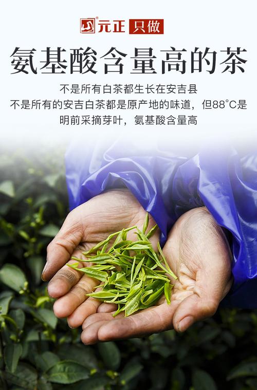 【2019新茶上市】元正88℃系列x9明前茶绿茶正宗安吉白茶高氨基酸含量