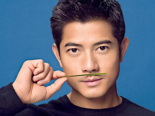 郭富城 aaron kwok的图片