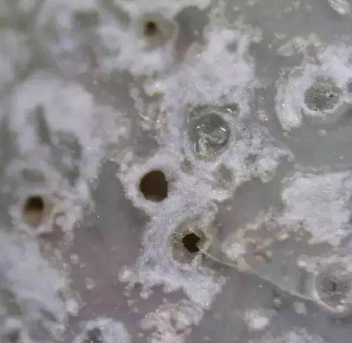 用"死亡气泡"推断瓷器年代的4个疑问,鉴定界对其争议不休