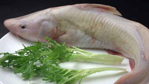 没有学名叫"清江鱼"的鱼,那它到底是个啥?标准答案在这里