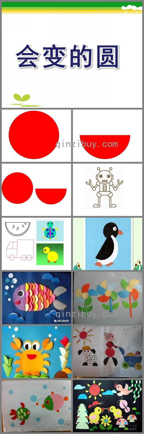 中班数学活动会变的圆ppt课件