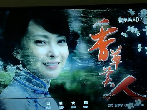 香草美人_凌烟,沈平茹,郭雁北……中华理想,信仰,信念