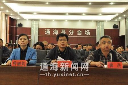 通海县收听收看全省领导干部大会