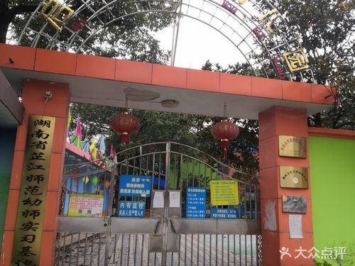 鹤城区启智幼儿园课程_价格_简介_怎么样-怀化学习